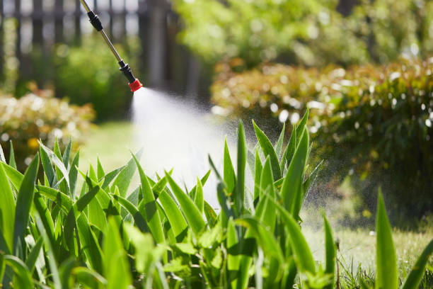 24/7 Emergency Wasp Removal experts in Baraboo, WI