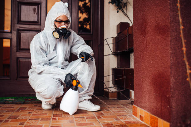 Reliable Wasp Removal contractor in Baraboo, WI by Show Me Pest Control